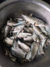 品田（pintian） 品田金袖特小钩成品子线绑好双钩鲫鱼防缠豆双飞钩10副 金袖有倒刺 4号钩子线0.8号 实拍图