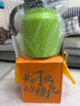 正扬 焖茶壶高档316不锈钢内胆泡茶保温壶茶水分离茶壶大容量闷泡壶 闷茶壶(1000ML)+苹果绿 实拍图