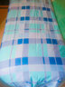柳伊（Liuei） 纯棉床单宿舍单人床被单单件大学男寝室学生上下铺学校全棉褥单 蓝绿格斜纹 150x220cm床单单件【单人床用】 实拍图