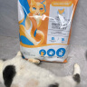 素力高（SolidGold）进口高蛋白金装金素鸡成猫幼猫全价猫粮12磅/5.44kg效期24年11月 实拍图