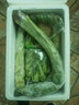 密之蓝天农家新鲜蔬菜油菜约450g生鲜嫩宝宝小油菜鲜嫩叶菜类火锅食材现摘 450g 实拍图