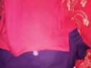 水晶豆女士高领保暖衣内衣加绒加厚中老年人秋衣单件上衣长袖老人防寒棉毛衫线衣男冬季 女加绒上衣-紫色 L 晒单实拍图