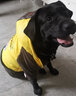 楚克奇（CHUKCHI）大狗衣服冬装加厚棉衣四腿大型犬连帽宠物服装金毛边境德牧萨摩 黄色 34#背75cm胸95-100cm颈58cm 实拍图