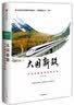大国新路 中国道路的历史和未来 中信出版社 实拍图