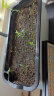 奥美优 种菜盆长方形种植箱塑料加厚自动吸水花盆种菜箱蔬菜种植盆 大号 实拍图