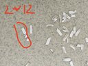 三木（SUNWOOD）SD9331碎纸机5级高保密碎纸效果2*6mm 单次7张 20L 持续10分钟 实拍图