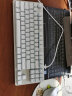 雷蛇（Razer） 黑寡妇蜘蛛标准 机械键盘 游戏键盘 办公键盘 电脑键盘 ABS键帽104键 水银色轻装版-橙轴白光 实拍图
