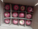 沙窝曙光陕西洛川红富士苹果水果新鲜脆甜冰糖心时令应季丑苹果水果礼盒 整箱5斤70-80mm（净重4.5斤） 实拍图