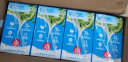维他奶原味豆奶植物蛋白饮料250ml*16盒早餐豆奶礼盒装 年货送礼 实拍图
