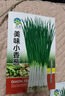 【春菜】耐热耐寒四季小香葱种子易种盆栽蔬果种籽 四季小香葱【易种】沾土发芽 【新种发芽率高】精选3包约2400 实拍图