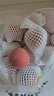 佐什冬桃鲜桃子脆甜软桃新鲜当季时令水果 3斤装（单果约80-120g） 实拍图
