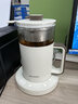 夏普养生壶 多功能喷淋式煮茶器 迷你花茶壶烧水壶 5大精煮模式 可调保温温度 KP-MT05L-W 白色 0.55L 实拍图