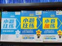 白日梦我+白色橄榄树套装（全2册） 人气作者栖见高口碑甜宠代表作！无所不能的桀骜校霸VS外刚内柔的颓废少女 实拍图
