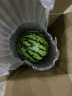 京鲜生 麒麟西瓜 1粒装 单果2.5kg起 生鲜水果 实拍图