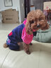 宠物圈（PETCIRCLE）秋季冬季狗狗衣服泰迪衣服宠物服饰狗衣服宠物泰迪狗狗衣服小型犬 爱心款粉色 L适合背长38CM胸围52CM重斤11-14 实拍图