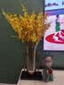 初见欧式花瓶插花仿真花水培工艺品餐桌摆件客厅玻璃摆设家居软装饰品 储水玻璃花瓶摆件小号+6支花艺 实拍图