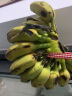 繁浮【小米蕉】广西小米蕉 当季新鲜水果小香蕉芭蕉西贡蕉批发 3斤 晒单实拍图