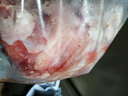 桃李旺（taoliwang）鳄鱼生鲜肉 新鲜现杀鳄鱼尾巴肉 鳄鱼掌鳄鱼肚 整只刺身煲汤火锅 【1.5kg】去皮鳄鱼肉 实拍图