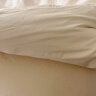 安睡宝（SOMERELLE）全棉床上四件套纯棉100%长绒棉刺绣高级感被套床单被罩用品床笠三 football恐龙-奶白绿 1.5/1.8m床单四件套-被套200*230 晒单实拍图