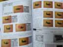 中文版photoshop cs6入门与提高附光盘 pscs6基础自学教材教程全套 ps6美工从入 晒单实拍图