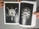 演化 古生物进化史（法国自然历史博物馆镇馆标本全呈现) 实拍图