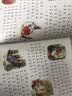 彼得兔的故事（注音版） 实拍图