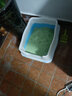 艾萨克豆腐猫砂除臭10kg豆腐砂20斤大袋绿茶豆腐猫砂10公斤猫沙无尘猫砂 绿茶味豆腐猫砂 10kg 实拍图