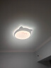 雷士（NVC）LED吸顶灯儿童房卧室创意可爱萌宠全光谱护眼灯具卡通龙猫粉色 实拍图