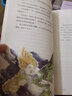 流动在光里的烟 六年级下册 人教版语文素养读本 小升初阅读拓展 温儒敏编 北大语文教育研究所 小学12 群文阅读 实拍图