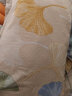 花熙雨（Huaxiyu）全棉床单单件40支斜纹印花纯棉被单 卡通花卉纯棉床单宿舍单双人 SWJ-银杏果实 1.8米床宽用（230x250cm） 晒单实拍图
