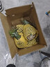 粤品正宗广东徐闻菠萝新鲜水果应当季金香水菠萝整箱非手撕金钻凤梨 徐闻菠萝9斤大果 实拍图