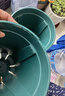 绿植花盆新款加厚加仑盆 植物花盆 欧式阳台花盆盆栽圆形绿萝 2号军绿灰口径21cm【含托】 特大 实拍图