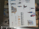 世界名师的绘画课：人像入门 实拍图