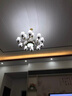 弦鸿吊灯客厅灯欧式奢华大气复古别墅复式楼大灯餐厅卧室中山灯具套餐 6608-15头 三色变光 实拍图