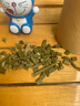 涌益堂 木贼草250克 别名节节草节骨草无心草笔头草中药材原料 实拍图