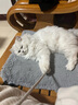 有鱼喵喵酱猫主食餐包猫罐头猫咪猫零食90g*4袋 混合口味 实拍图