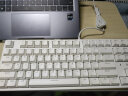 艾石头 FE 87 铁系列 机械键盘 87键游戏键盘 全键无冲 DIY磁吸上盖 阶梯键帽 白色 茶轴 实拍图