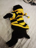 嬉皮狗春秋狗狗小蜜蜂衣服泰迪约克夏小型幼犬可爱带帽包肚衣雨衣家居服 春款#黄黑小蜜蜂卫衣 S(建议体重3-5斤) 实拍图