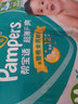 帮宝适（Pampers）绿帮 纸尿裤 尿不湿超薄干爽 中码M96片（6-11公斤） 实拍图