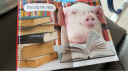 Scholastic Leveled Readers: Kindergarten Reader Box Set: Amazing Animals 学乐 幼儿园读者盒套装：神奇动物 进口原版 英文 实拍图