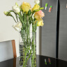墨斗鱼玻璃花瓶透明植物插花瓶水培容器大花瓶装饰客厅摆件直筒款25cm 实拍图