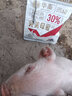 华畜羔羊奶粉小乳猪仔猪羊羔奶粉犊牛奶粉代乳粉兽用养殖喂羊羔的奶粉 1袋【完美母爱】500g/袋 实拍图