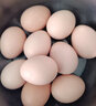 葛溪正太年货鲜鸡蛋 无激无抗 早餐 营养鸡蛋  农场直供30枚/45-50g/枚 实拍图