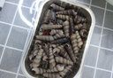 三只海豚青岛麻辣钉螺去尾即食罐装熟食捞汁小海鲜海螺丝香辣海锥丁醉钉锥 麻辣钉螺 2罐 实拍图