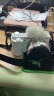 索尼（SONY）ZV-E10 微单数码相机 ZV-E10L 4K视频 Vlog美颜直播zve10 E16-50mm标准镜头套装 白色 官方标配【不含内存卡/相机包/滤镜等配件】 晒单实拍图