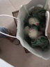 咸鹅蛋 流油鹅蛋 鹅蛋 草鹅蛋 笨鹅蛋 熟咸鹅蛋散养鹅蛋真空包装 12枚装（单枚约80g左右） 实拍图