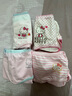 Hello Kitty女童内裤棉凯蒂猫女孩三角裤玉桂狗儿童短裤透气抗菌中大童底裤 C款 4条装 55579 155 适合150-160cm 实拍图