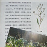 迈尔斯教授讲世界历史：世界通史（上下册） （谁掌控文明的密码，谁便是世界的领导者） 实拍图