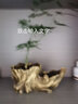 欧林泽 陶瓷花盆 陶泥多肉植物绿植花器 创意桌面仿老根根雕生态树桩陶盆 中式个性 木桩 款式11/长19.5*宽11*高9厘米 实拍图