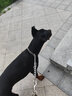万牵狗链子 不锈p链牵引绳项圈栓狗遛中大型犬脖圈脖套P链金属防咬铁 5.0加粗（70—80斤)70厘米 实拍图